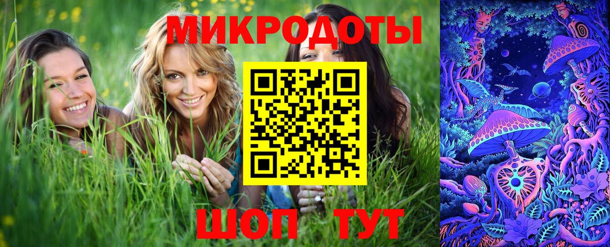 Псилоцибиновые грибы Psilocybe  Вход с VPN  Наро-Фоминск 