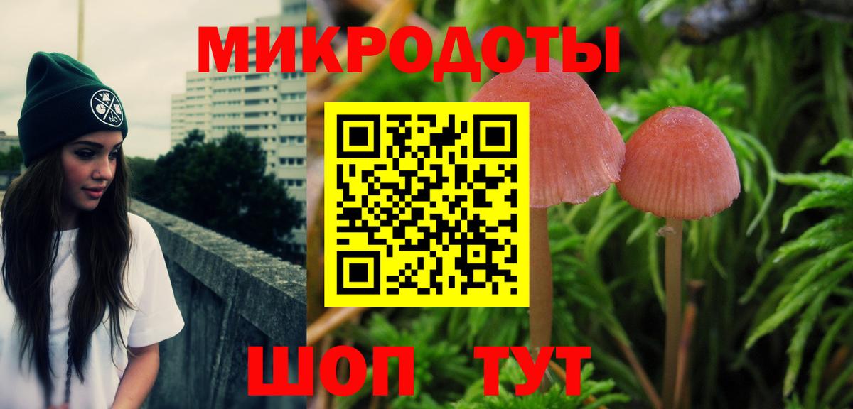 Галлюциногенные грибы Cubensis Наро-Фоминск